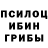 Псилоцибиновые грибы Psilocybe Alesey Denisov