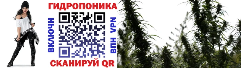 гидра вход  Демидов  Бошки марихуана индика 